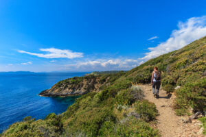 Wine tasting tours in Provence