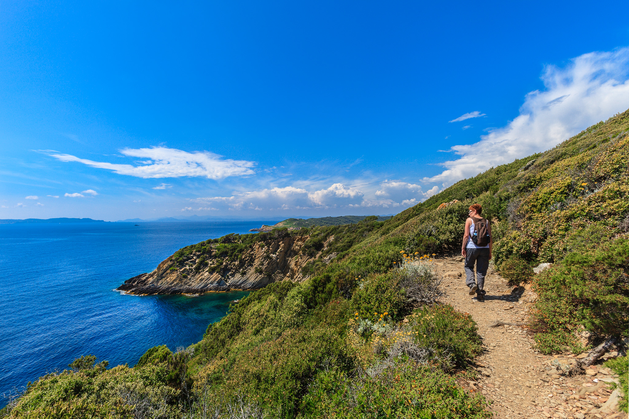Wine tasting tours in Provence