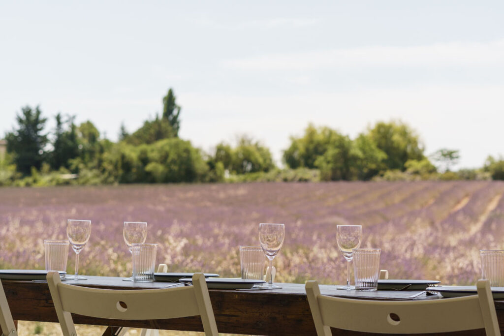 Guided nature tours in Provence