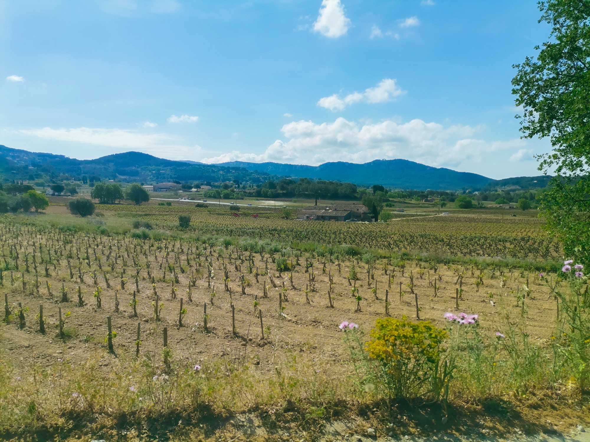 Discover Toulon Port: A Relaxing Le Castellet Tour